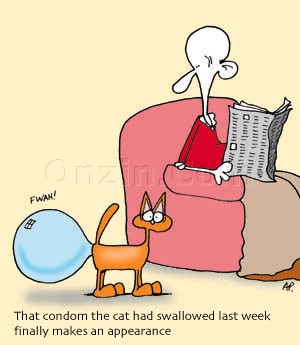cat_condom