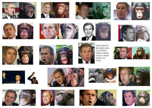 Bush or Chimp?