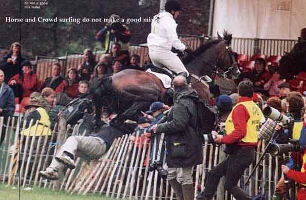 31 - Click to go to thumbnails