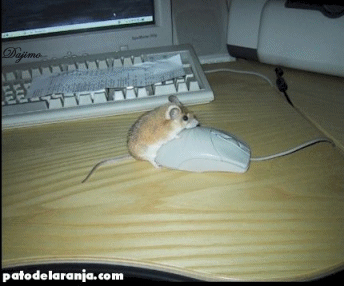 Mouse and Mouse